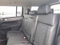 2025 Hyundai Santa Fe Hybrid SEL